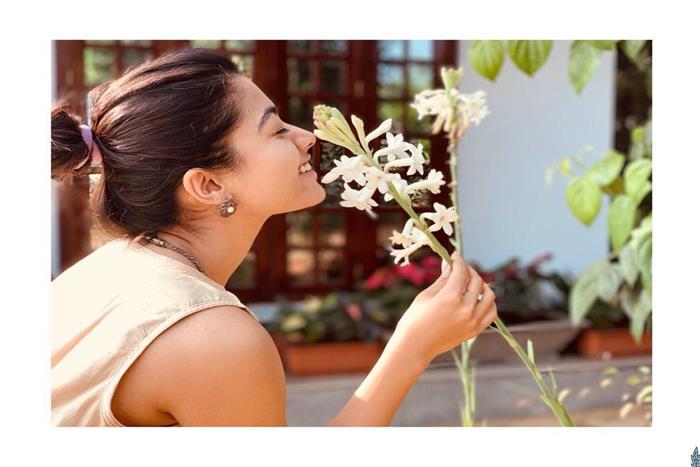 rashmika beautiful photo