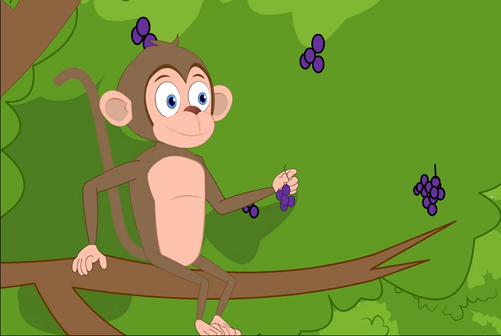 monkey eat jambu